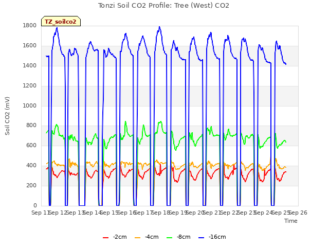 plot of Tonzi Soil CO2 Profile: Tree (West) CO2