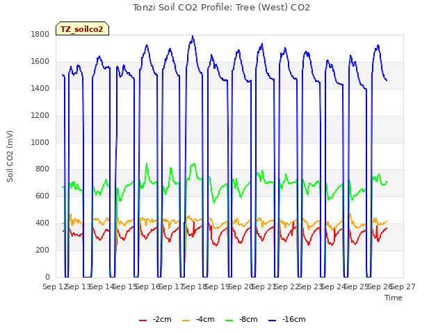 plot of Tonzi Soil CO2 Profile: Tree (West) CO2