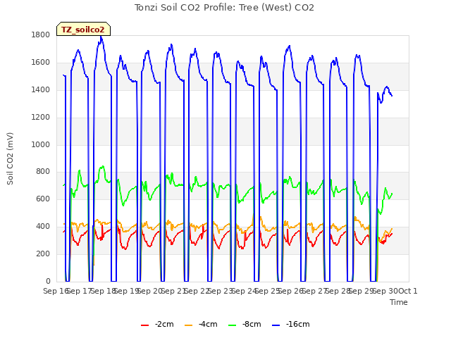 plot of Tonzi Soil CO2 Profile: Tree (West) CO2