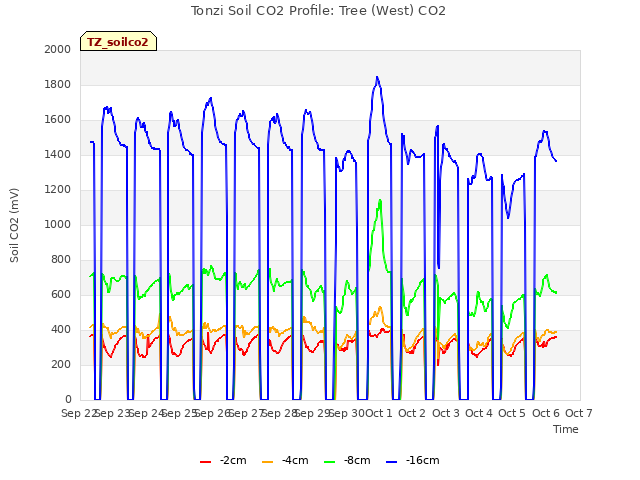 plot of Tonzi Soil CO2 Profile: Tree (West) CO2