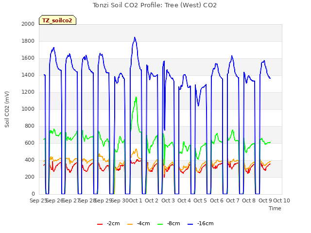 plot of Tonzi Soil CO2 Profile: Tree (West) CO2