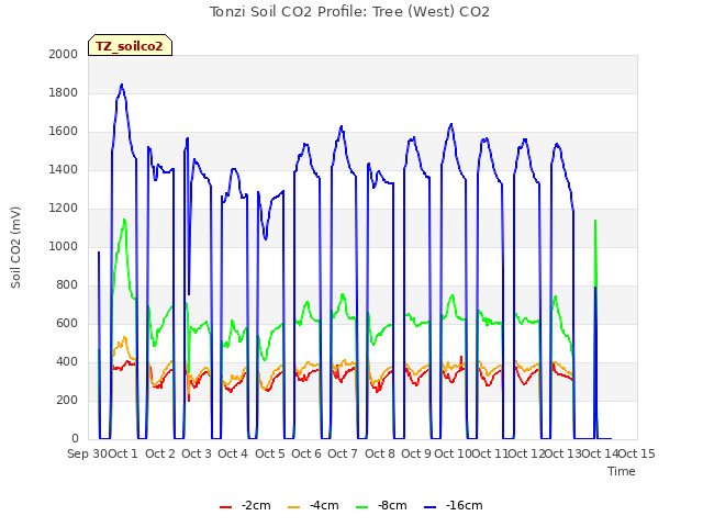 plot of Tonzi Soil CO2 Profile: Tree (West) CO2