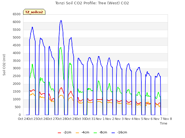 plot of Tonzi Soil CO2 Profile: Tree (West) CO2