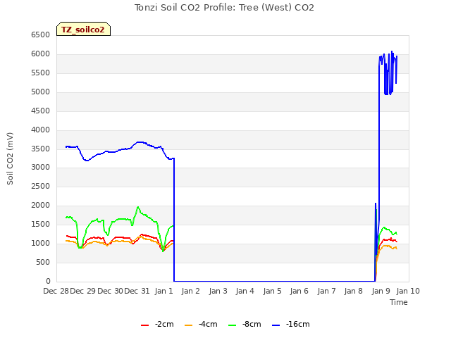 plot of Tonzi Soil CO2 Profile: Tree (West) CO2