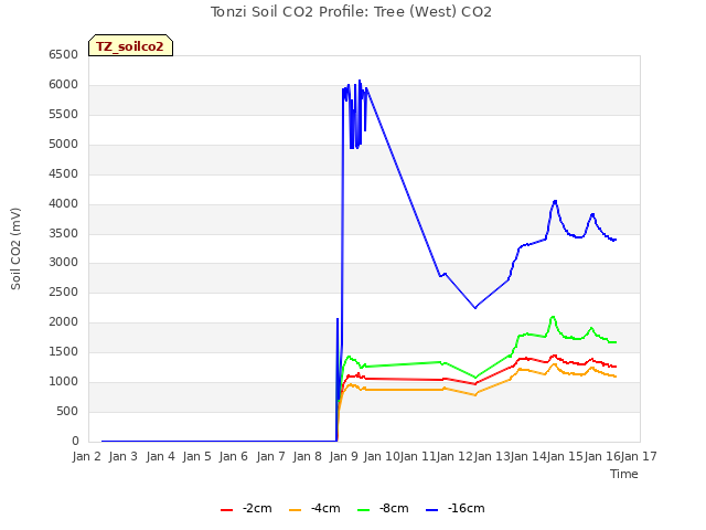 plot of Tonzi Soil CO2 Profile: Tree (West) CO2