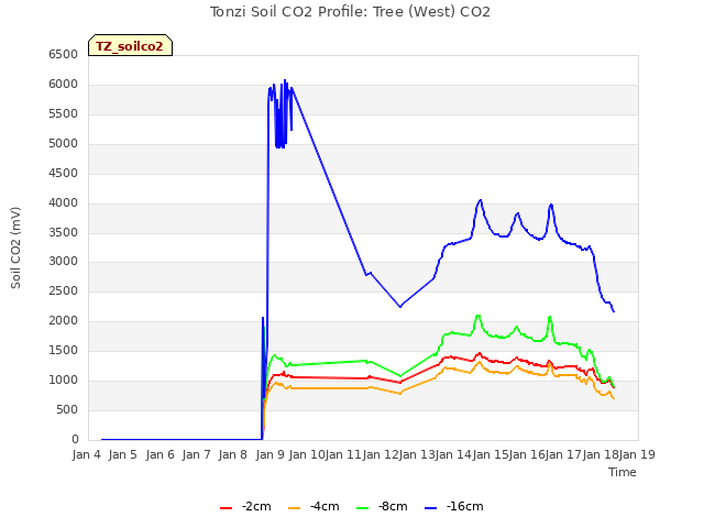 plot of Tonzi Soil CO2 Profile: Tree (West) CO2