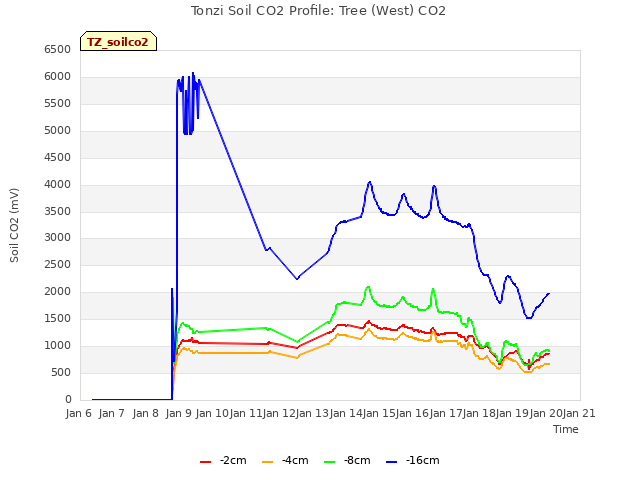 plot of Tonzi Soil CO2 Profile: Tree (West) CO2