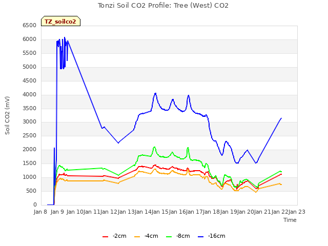 plot of Tonzi Soil CO2 Profile: Tree (West) CO2