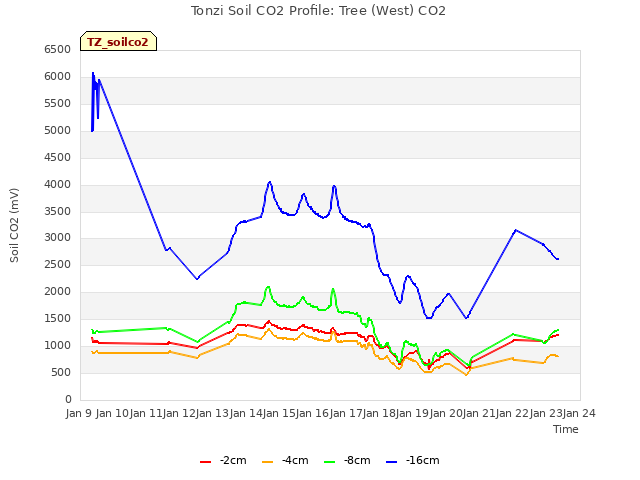 plot of Tonzi Soil CO2 Profile: Tree (West) CO2