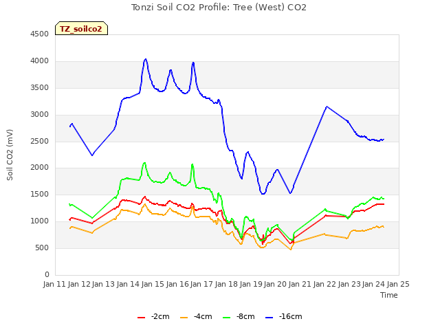 plot of Tonzi Soil CO2 Profile: Tree (West) CO2