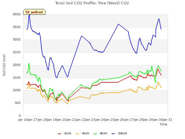 plot of Tonzi Soil CO2 Profile: Tree (West) CO2