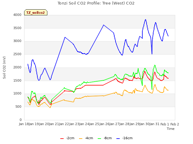 plot of Tonzi Soil CO2 Profile: Tree (West) CO2