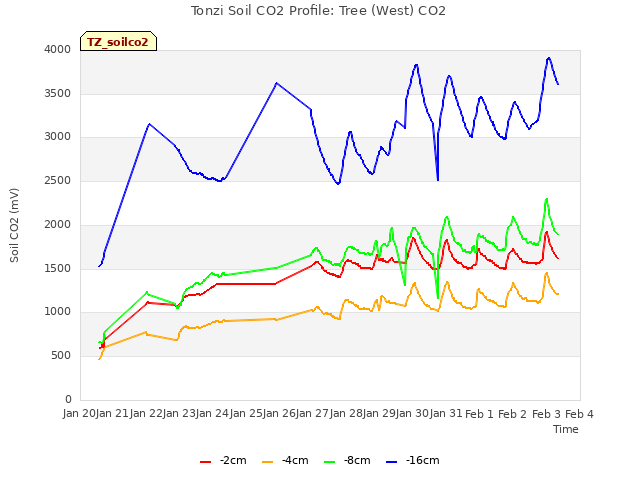 plot of Tonzi Soil CO2 Profile: Tree (West) CO2