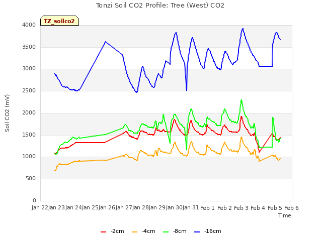 plot of Tonzi Soil CO2 Profile: Tree (West) CO2