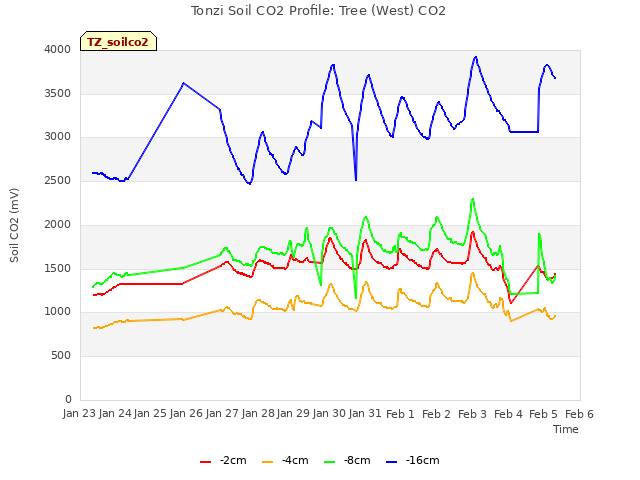 plot of Tonzi Soil CO2 Profile: Tree (West) CO2