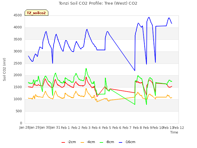 plot of Tonzi Soil CO2 Profile: Tree (West) CO2