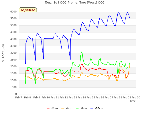 plot of Tonzi Soil CO2 Profile: Tree (West) CO2