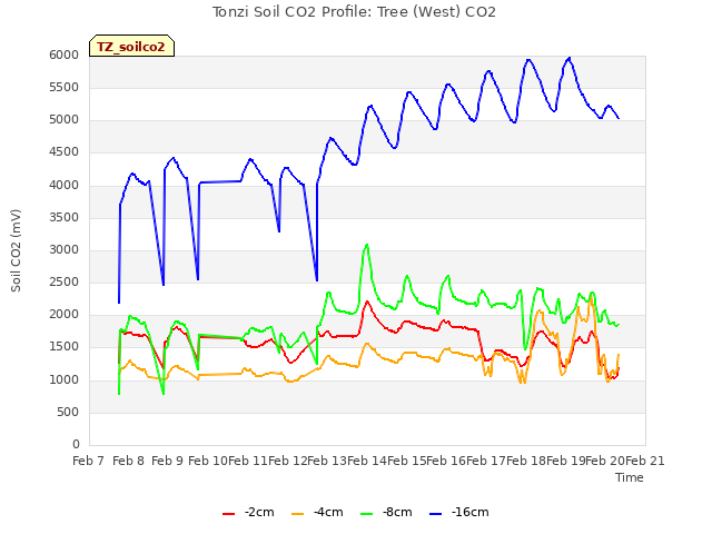 plot of Tonzi Soil CO2 Profile: Tree (West) CO2