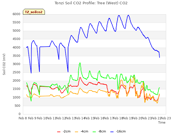 plot of Tonzi Soil CO2 Profile: Tree (West) CO2