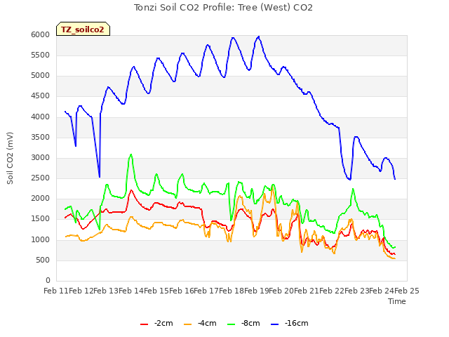 plot of Tonzi Soil CO2 Profile: Tree (West) CO2