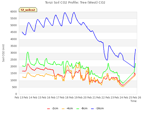 plot of Tonzi Soil CO2 Profile: Tree (West) CO2