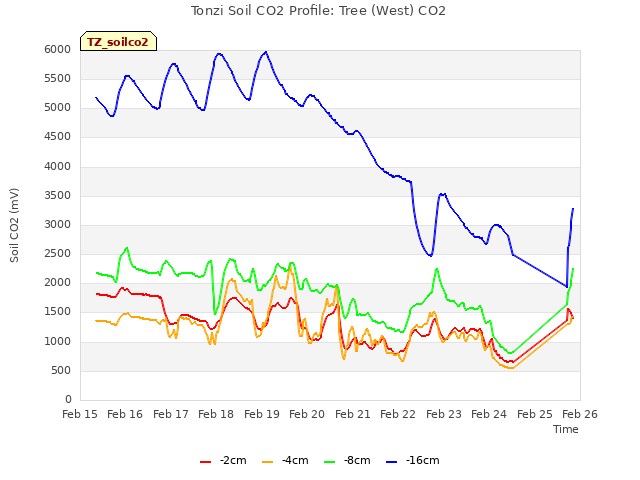 plot of Tonzi Soil CO2 Profile: Tree (West) CO2