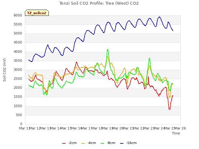 plot of Tonzi Soil CO2 Profile: Tree (West) CO2