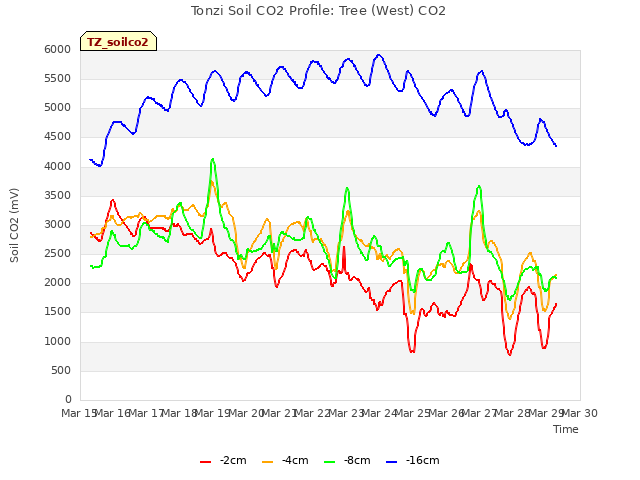 plot of Tonzi Soil CO2 Profile: Tree (West) CO2