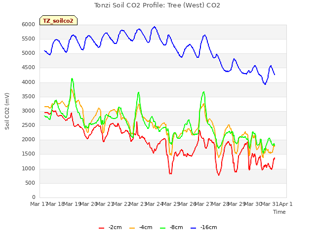 plot of Tonzi Soil CO2 Profile: Tree (West) CO2