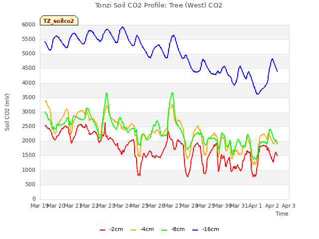 plot of Tonzi Soil CO2 Profile: Tree (West) CO2