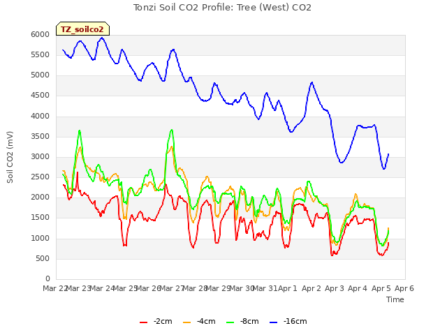 plot of Tonzi Soil CO2 Profile: Tree (West) CO2