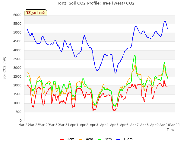 plot of Tonzi Soil CO2 Profile: Tree (West) CO2