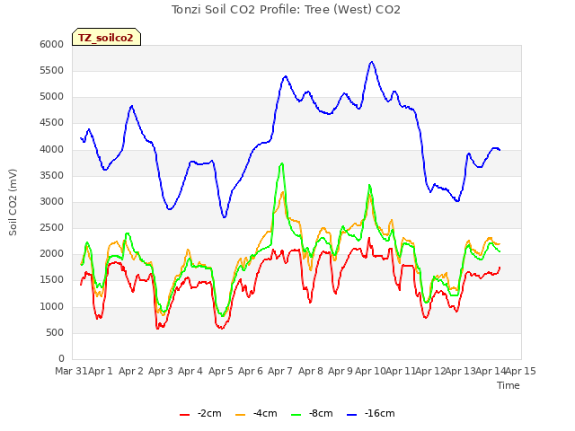 plot of Tonzi Soil CO2 Profile: Tree (West) CO2