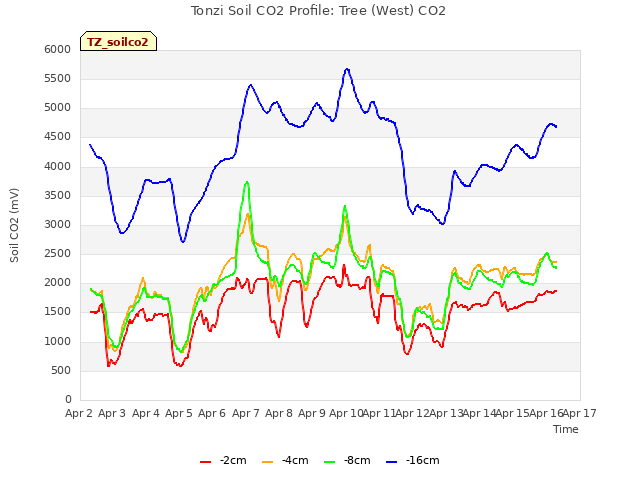 plot of Tonzi Soil CO2 Profile: Tree (West) CO2