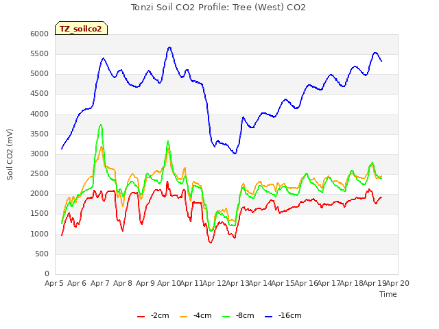 plot of Tonzi Soil CO2 Profile: Tree (West) CO2