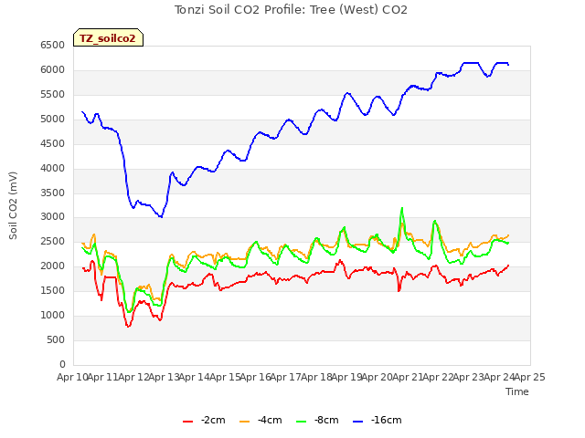 plot of Tonzi Soil CO2 Profile: Tree (West) CO2