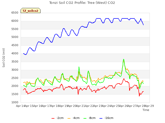 plot of Tonzi Soil CO2 Profile: Tree (West) CO2