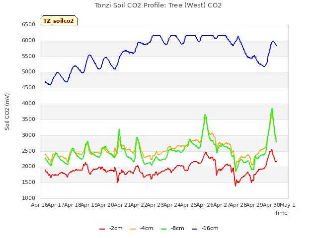 plot of Tonzi Soil CO2 Profile: Tree (West) CO2