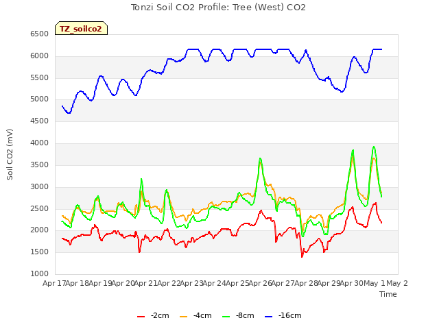 plot of Tonzi Soil CO2 Profile: Tree (West) CO2