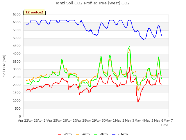 plot of Tonzi Soil CO2 Profile: Tree (West) CO2