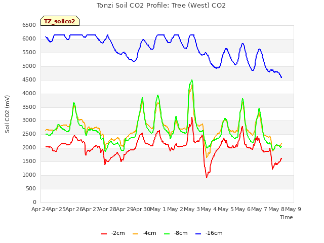 plot of Tonzi Soil CO2 Profile: Tree (West) CO2