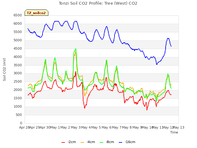 plot of Tonzi Soil CO2 Profile: Tree (West) CO2