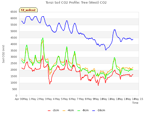 plot of Tonzi Soil CO2 Profile: Tree (West) CO2