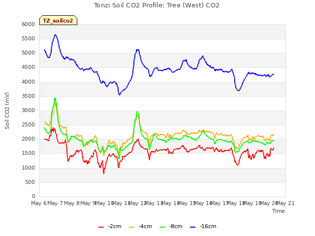 plot of Tonzi Soil CO2 Profile: Tree (West) CO2