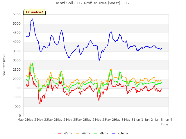 plot of Tonzi Soil CO2 Profile: Tree (West) CO2