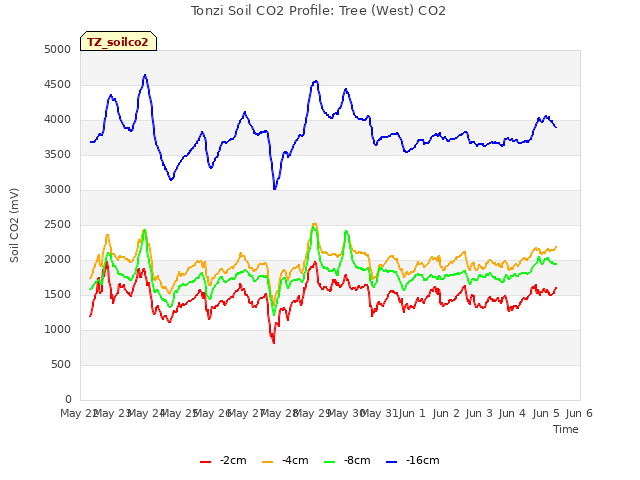 plot of Tonzi Soil CO2 Profile: Tree (West) CO2