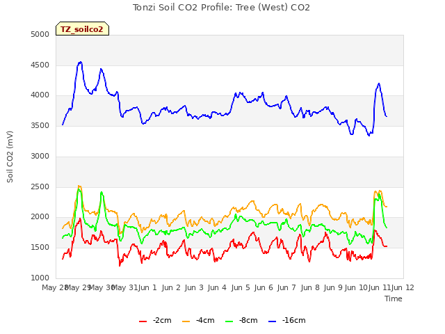 plot of Tonzi Soil CO2 Profile: Tree (West) CO2