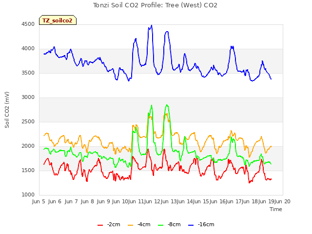 plot of Tonzi Soil CO2 Profile: Tree (West) CO2