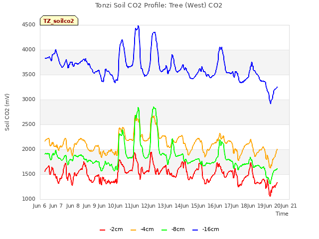 plot of Tonzi Soil CO2 Profile: Tree (West) CO2