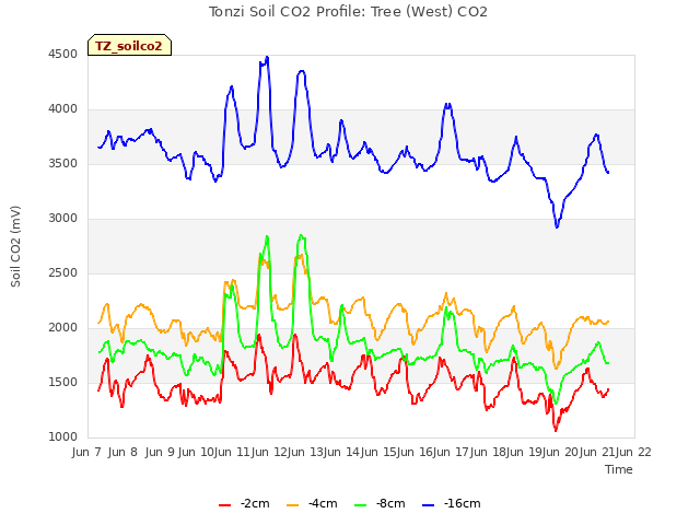 plot of Tonzi Soil CO2 Profile: Tree (West) CO2
